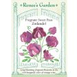 Zinfandel Sweet Pea Flower Seeds For Cheap