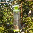 Reusable W-H-Y Trap with Attractant Online now