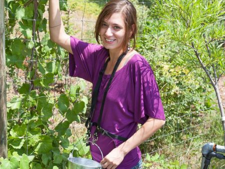 Blueberry Pail Picking Harness Supply