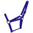 Halter Horse Adjustable Pony Blue 1 Each by Hamilton Sale