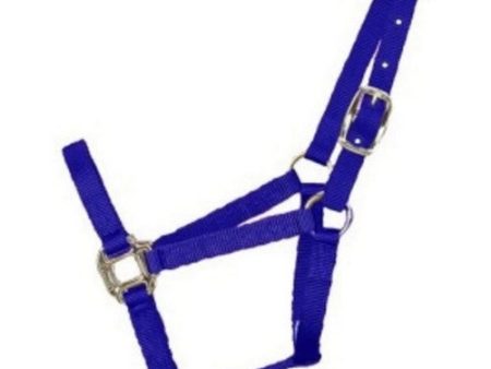 Halter Horse Adjustable Pony Blue 1 Each by Hamilton Sale